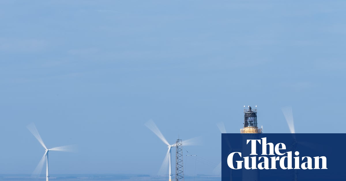 Offshore windfarm projects may be exempted from new UK nature rules