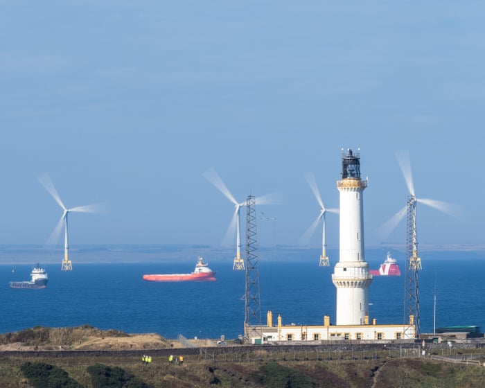 Offshore windfarm projects may be exempted from new UK nature rules