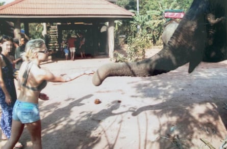 Gemma reaches out to an elephant’s trunk