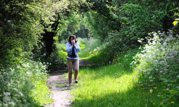 Down With Hay Fever How To Survive Pollen Misery Society The Guardian