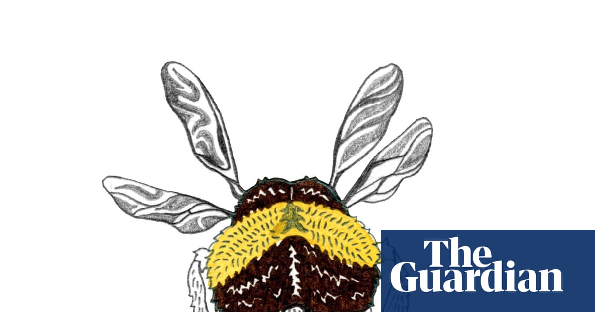 Do bees have bums and how do boats float? The kids’ quiz