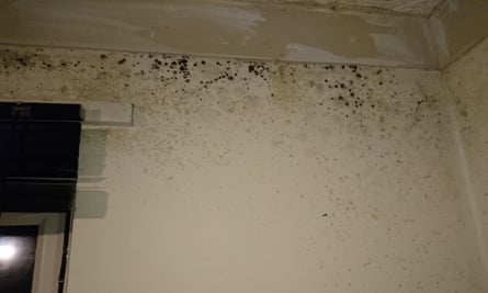Mould in Clifford’s house