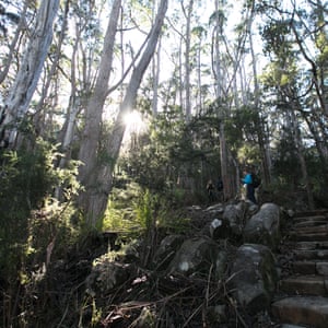A view of Tasman Island on the Three Capes Lodge walk.