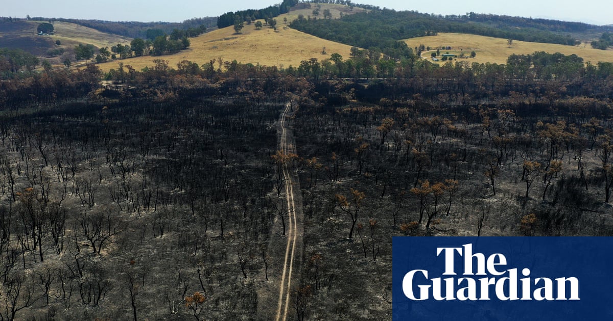 Coalition climate target consistent with more than 3C global heating research says – The Guardian