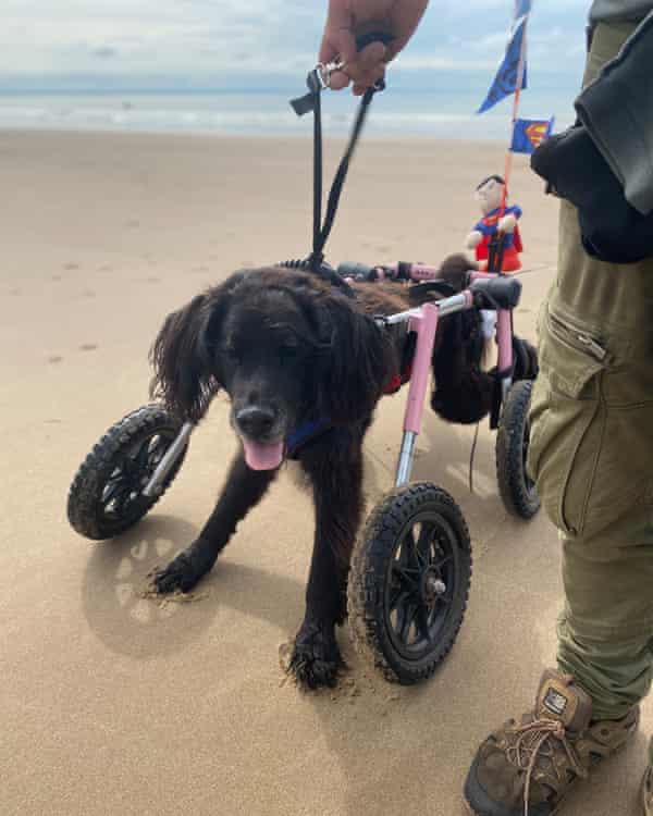 Nambo using wheeled mobility aid at the beach