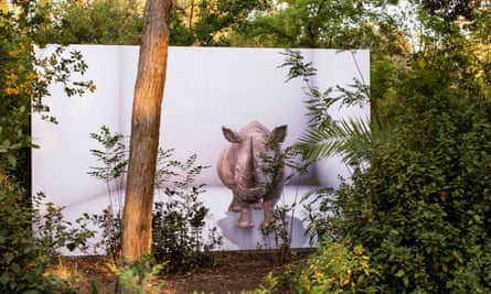 A digital northern white rhino at the Lost Rhino exhibition.