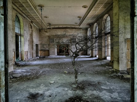 Large room with a tree growing in it