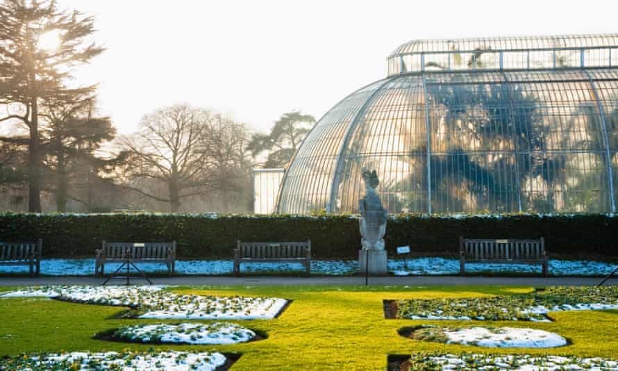 Palm House at Kew Gardens, London