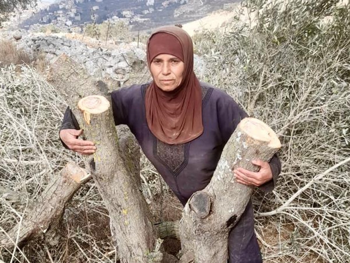 They ransack our village for sport’: one Palestinian farmer’s
