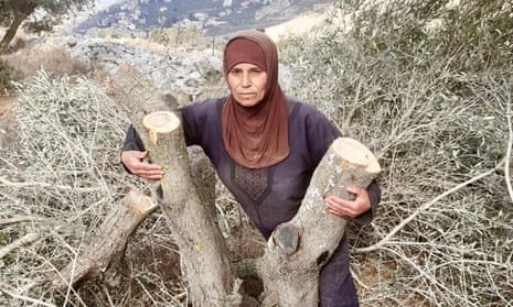 Doha Asous with one of her olive trees cut down by Israeli settlers in the West Bank just outside her village of Burin.