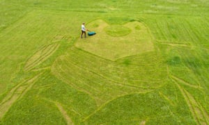 Chris Naylor, lawn artist, creating a picture of Wilbur the penguin.