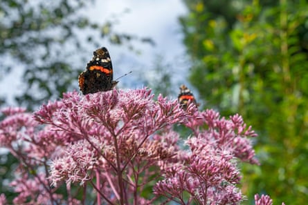 Dilston Physic Garden