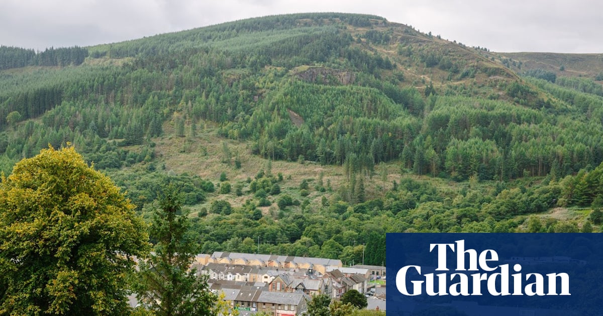 How a Welsh village saved its forest and its future