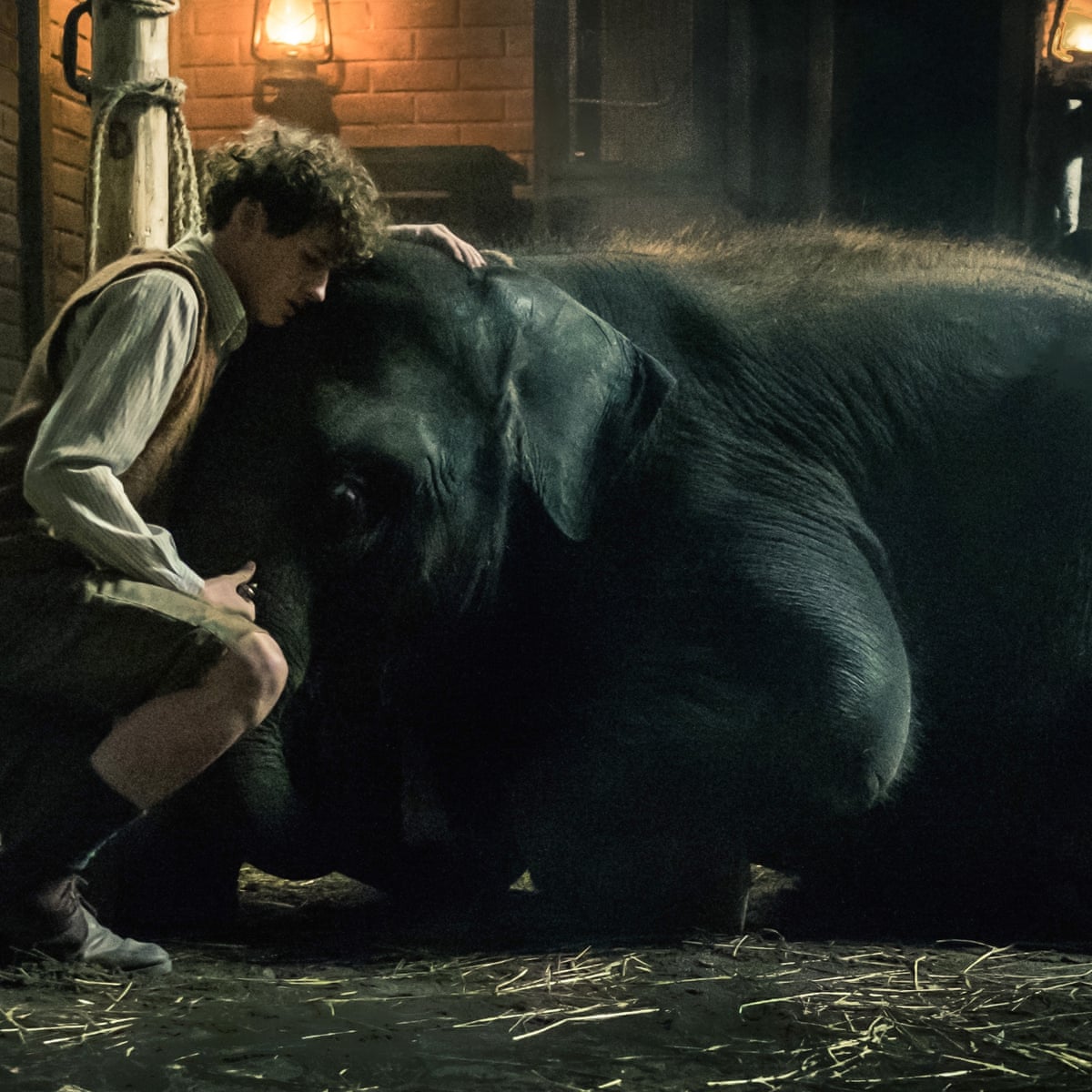 peta demand boycott of belfast zoo film over use of live elephant movies the guardian peta demand boycott of