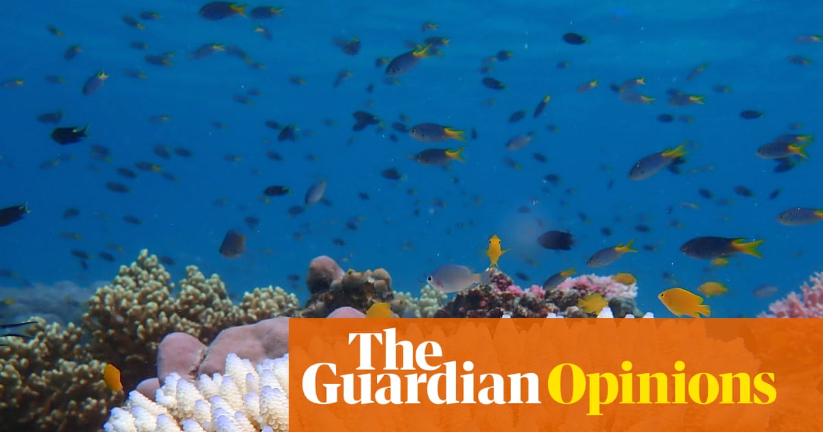 The Great Barrier Reef isn’t dead yet. According to News Corp that makes climate science a ‘pseudo-religion’ | Temperature Check