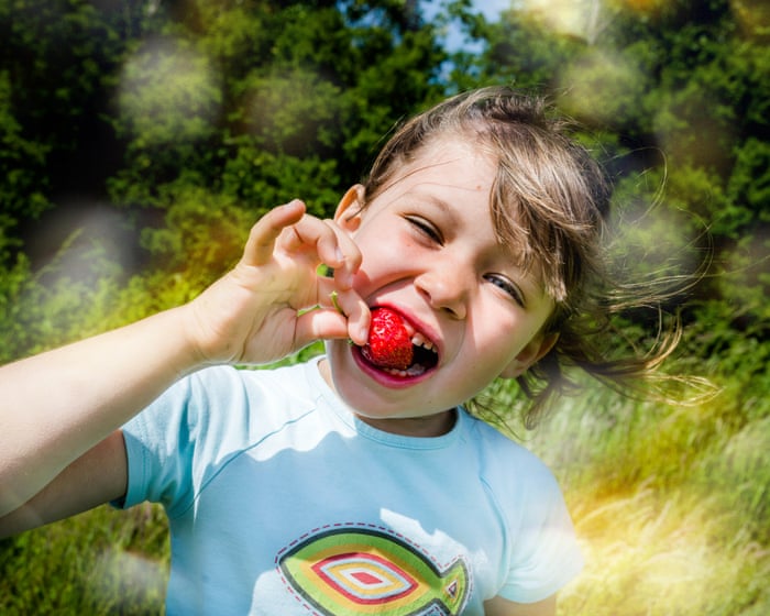 I've been known to eat a punnet in one sitting': eight superfans on the best ways to enjoy British strawberries