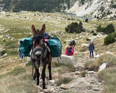 A donkey with bags on its back, with children in the background