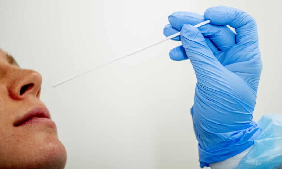 uk watchdog calls for much tougher vetting of covid pcr test firms travel leisure the guardian