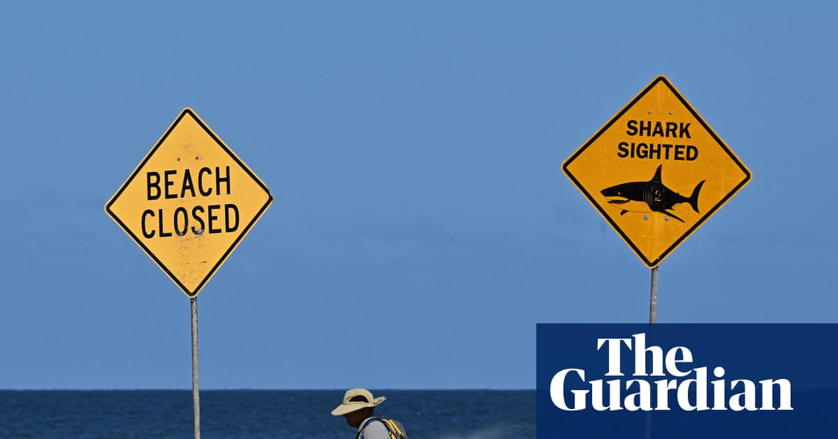 Are shark attacks on the rise in Australia? And what is being done to ...