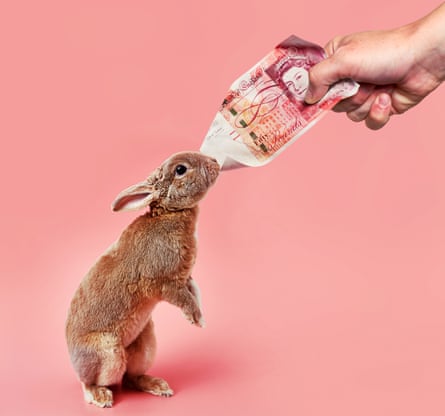 Illustration of a hand holding out a £50 note to rabbit that seems to be nibbling it, against pink background