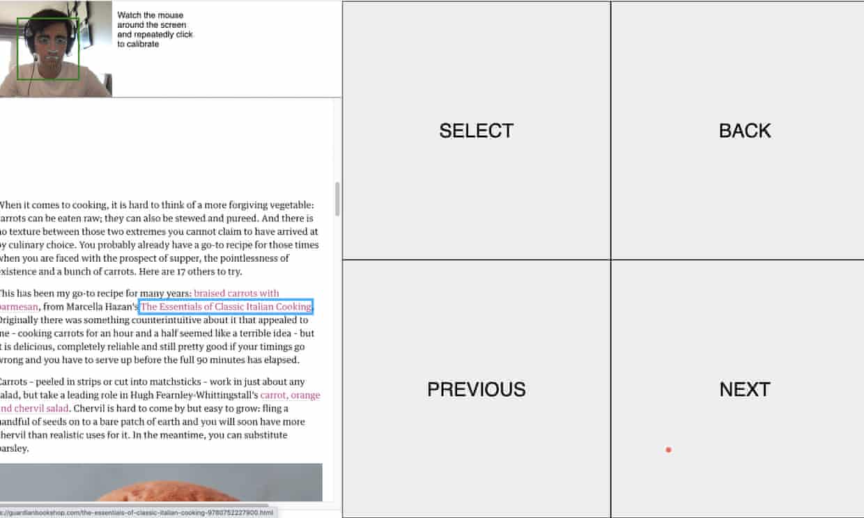 Eyegaze browser screenshot