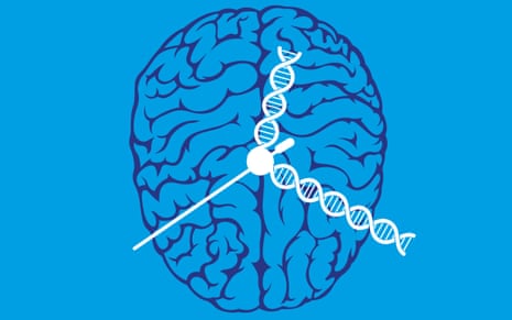 Illustration by Philip Lay of a brain with clock hands made of DNA on it