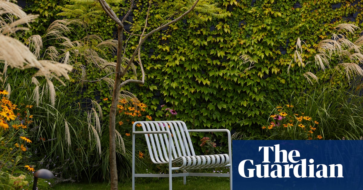 From urban rooftops to working cattle farms: Australia’s best home gardens – in pictures
