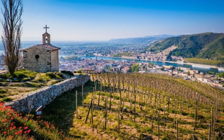 A vineyard sloping down to a town by a river, with a small church perched on the left