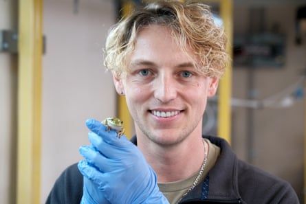 Dr Anthony Waddle smiles as he holds a green and golden bell frog while wearing blue gloves
