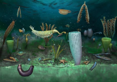 An artist impression of the Castle Bank community of creatures by Yang Dinghua.