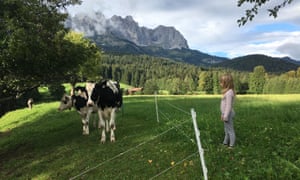 Gemma’s daughter with cows at Wolfseggstall.