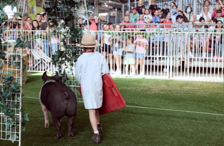 A young girl shows her pig to an Easter Show crowd