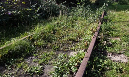 Weeds growing on a disused railway line with rusty railway tracks