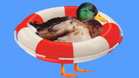 Illustration of a duck pinch a lifebuoy astir its body