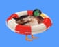 Duck with a lifebuoy around its body