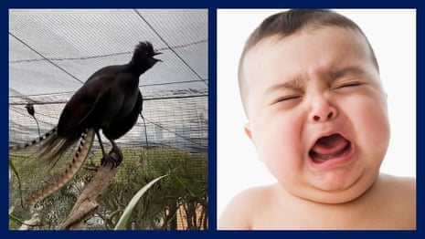 Readers reply: why do humans cry when they are sad?, Biology