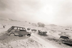 An abandoned mini car with sheep in heavy snow in the Peak District, near Buxton, Derbyshire, c.1984