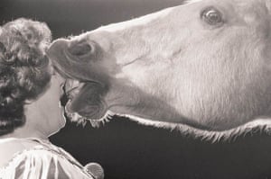 A horse 'kisses' a woman at the last Belle Vue Christmas Circus, 1981 