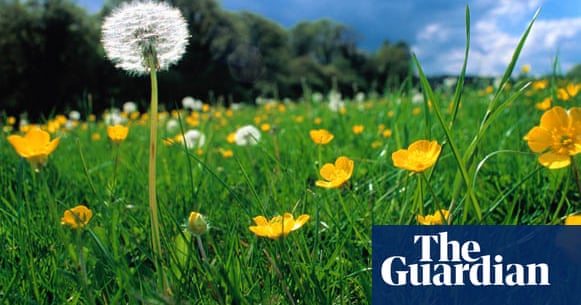 Conservation christmas gifts Conservation Christmas gifts | Environment | The Guardian