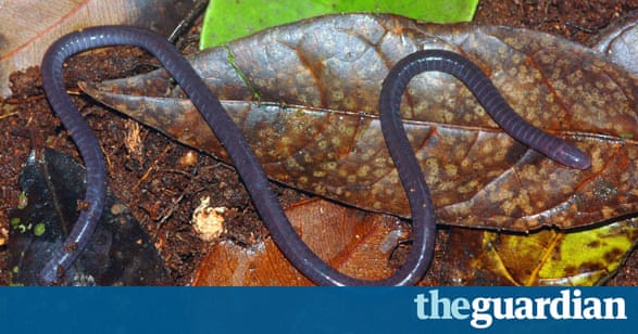 how to see saved password in facebook messenger how to see saved password in facebook messenger