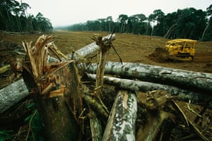 A large swath of forest cleared by timber interests in Gabon 