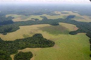 An aerial view of forests just south of the Salonga National Park