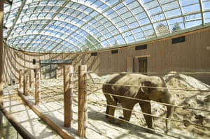 Elephant House, Copenhagen Zoo 