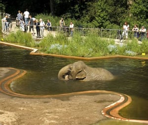 The giant pool, Copenhagen Elephant House