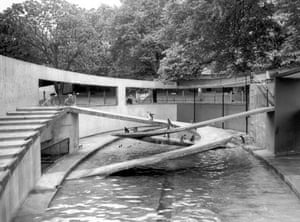 Penguin Pool at London Zoo 1954