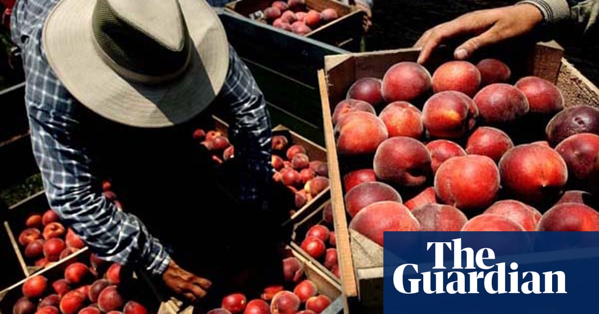 24 hours in pictures July 10 2007 World news The Guardian