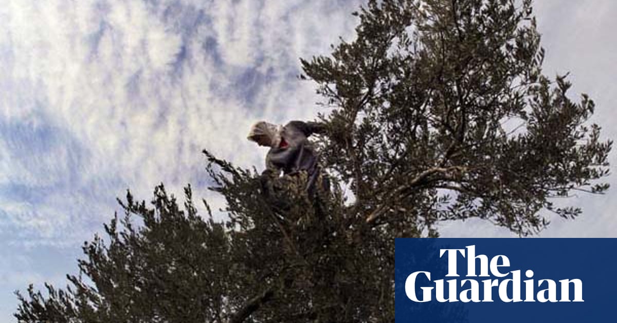 24 hours in pictures October 17 2007 World news The Guardian