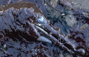 Erika oil spill