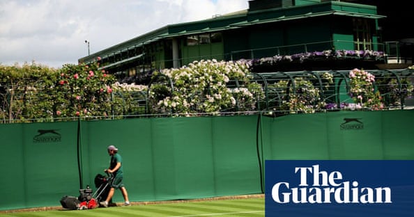 Wimbledon tournament essay 06 Wimbledon tournament essay 06 picture
