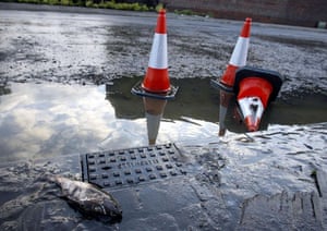23rd july 2007